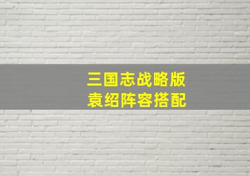 三国志战略版 袁绍阵容搭配